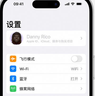 上思appleID维修服务iPhone设置中Apple ID显示为灰色无法使用 