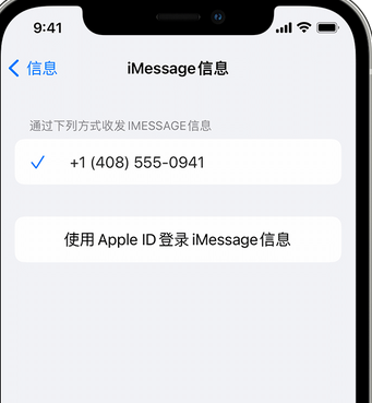 上思apple维修iPhone上无法正常发送iMessage信息 