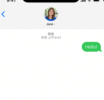 上思apple维修iPhone上无法正常发送iMessage信息