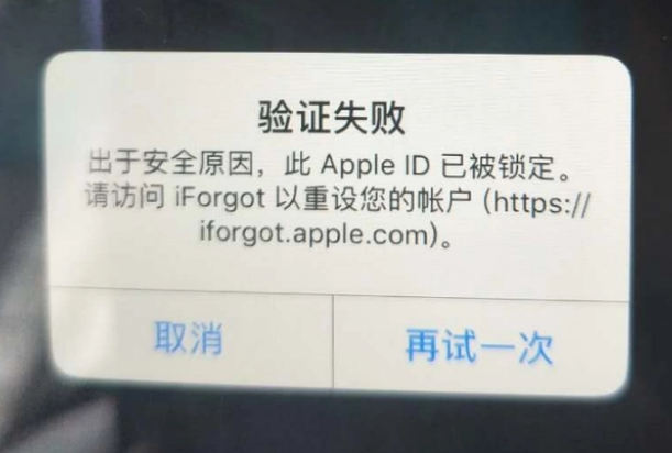 上思iPhone维修分享iPhone上正常登录或使用AppleID怎么办 