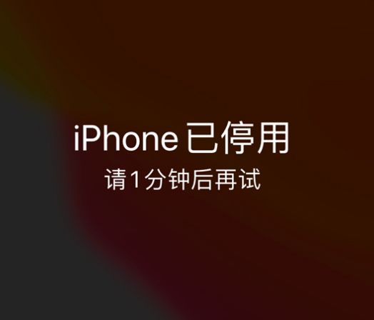 上思苹果手机维修分享:iPhone 显示“不可用”或“已停用”怎么办？还能保留数据吗？ 