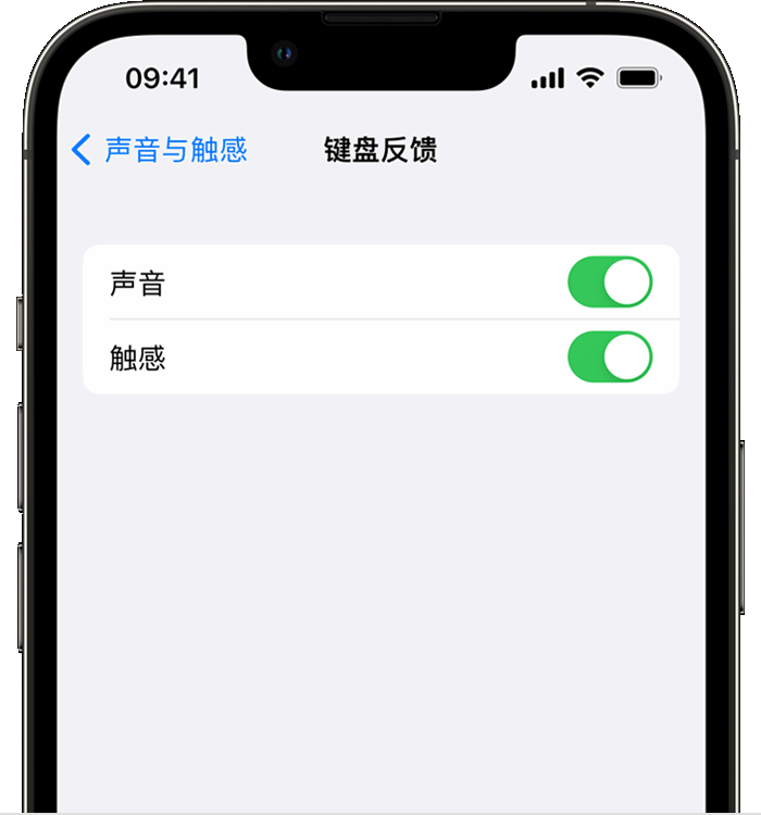 上思苹果14维修店分享如何在 iPhone 14 机型中使用触感键盘 