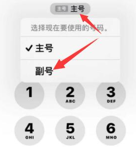 上思苹果14维修店分享iPhone 14 Pro Max使用副卡打电话的方法 