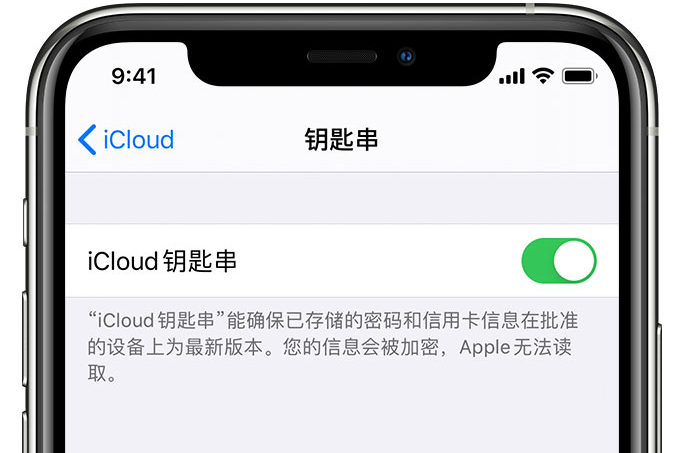 上思苹果手机维修分享在 iPhone 上开启 iCloud 钥匙串之后会储存哪些信息 