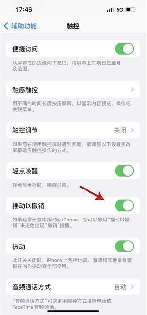 上思苹果手机维修分享iPhone手机如何设置摇一摇删除文字 